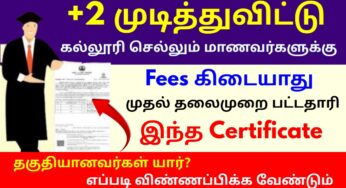 முதல் தலைமுறை பட்டதாரி சான்றிதழ் பெறுவது எப்படி?